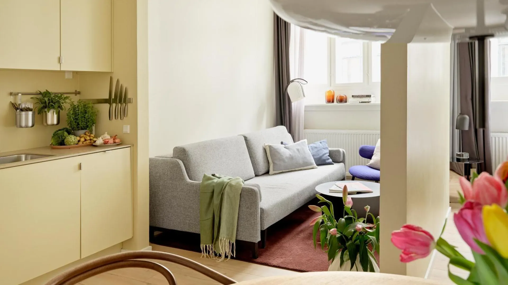 Aperon Apartment Hotel 哥本哈根 0*,  丹麦